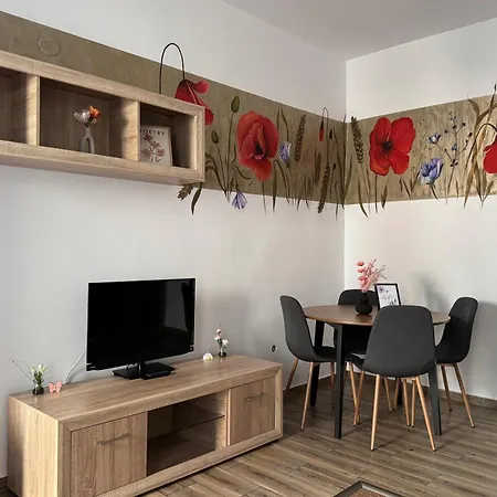 Flowers House Sibiu Exterior photo