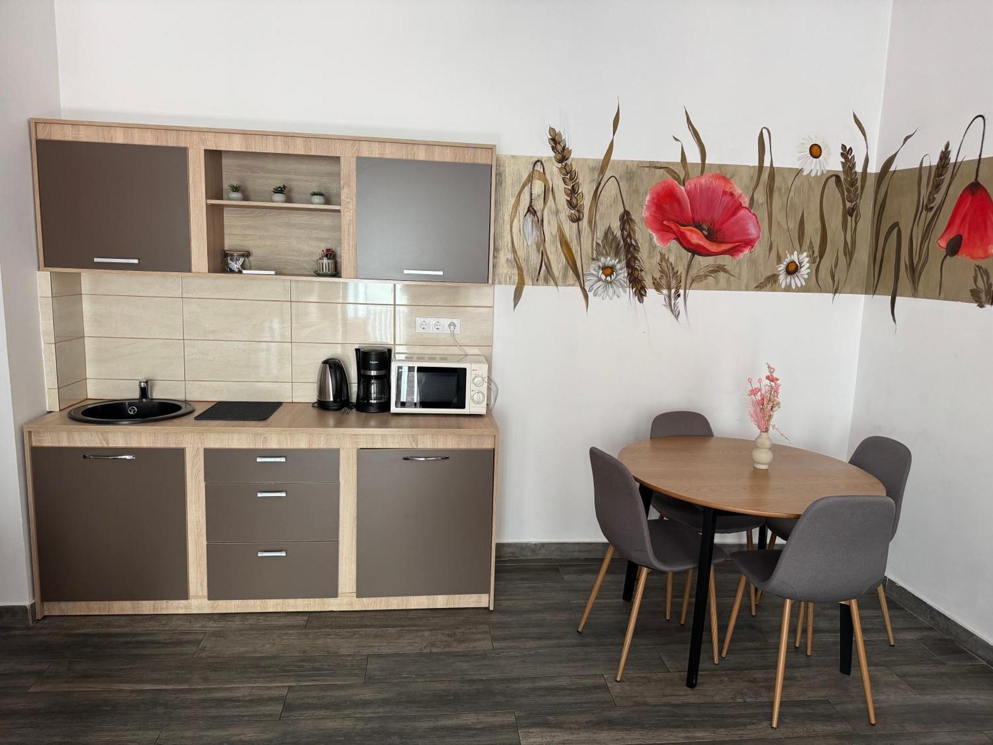 Appartamento Flowers House Sibiu